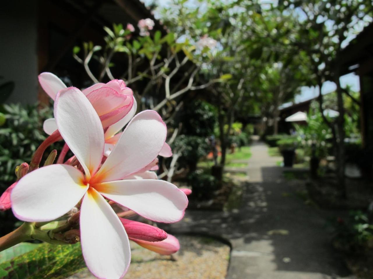 Phuket Siam Villas - SHA PLUS Chalong Bagian luar foto
